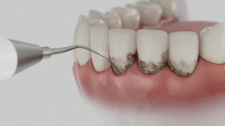 Reliable Dental contractor in Washington, WV by Dentist Open Now